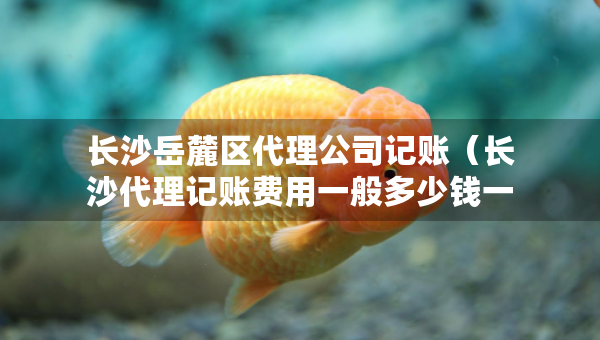 長(zhǎng)沙岳麓區(qū)代理公司記賬（長(zhǎng)沙代理記賬費(fèi)用一般多少錢一個(gè)月）