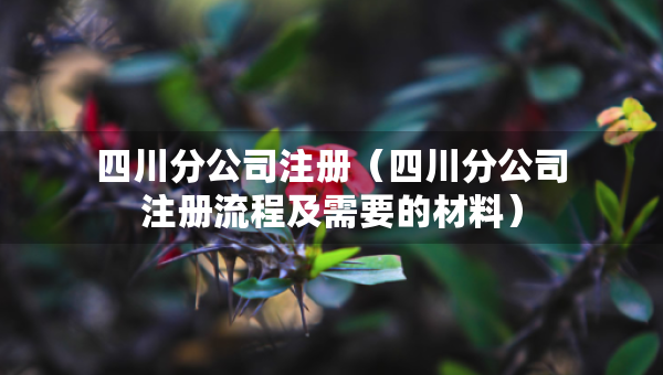 四川分公司注冊(cè)（四川分公司注冊(cè)流程及需要的材料）