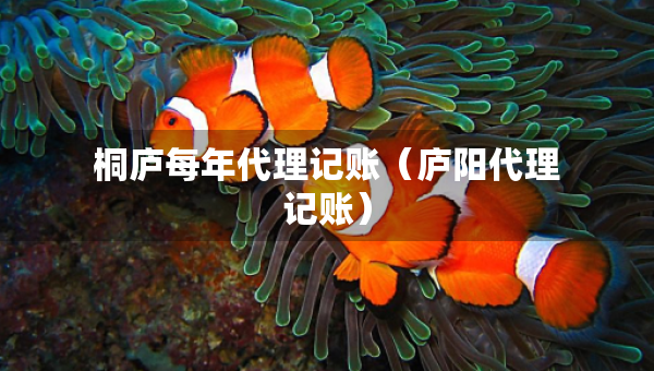 桐廬每年代理記賬（廬陽代理記賬）