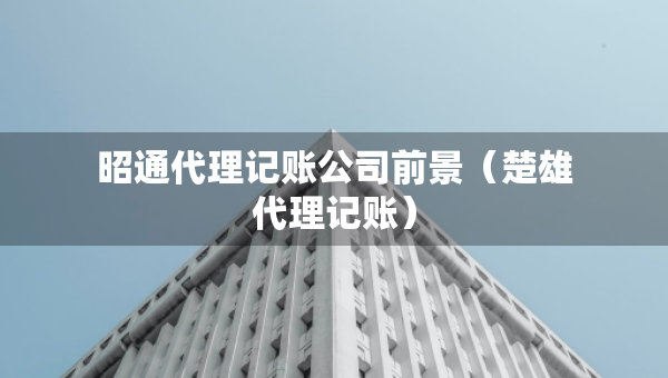 昭通代理記賬公司前景（楚雄代理記賬）