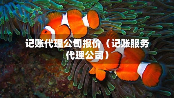 記賬代理公司報(bào)價(jià)（記賬服務(wù)代理公司）