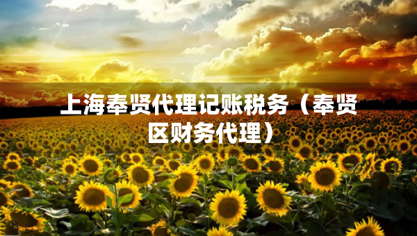 上海奉賢代理記賬稅務(wù)（奉賢區(qū)財(cái)務(wù)代理）