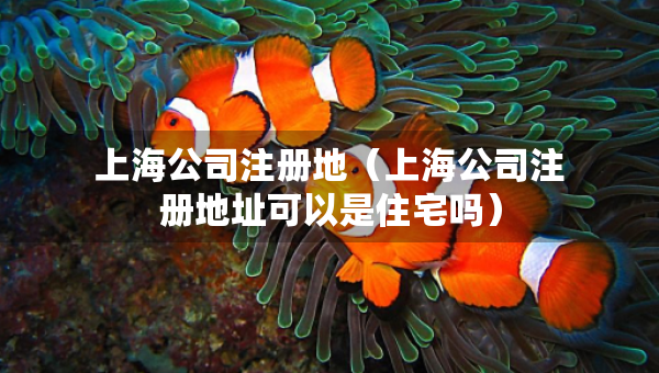 上海公司注冊(cè)地（上海公司注冊(cè)地址可以是住宅嗎）