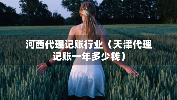 河西代理記賬行業(yè)（天津代理記賬一年多少錢）