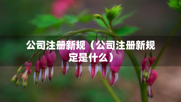 公司注冊(cè)新規(guī)（公司注冊(cè)新規(guī)定是什么）