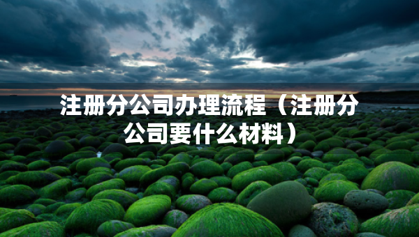 注冊分公司辦理流程（注冊分公司要什么材料）