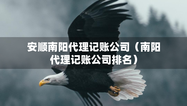 安順南陽代理記賬公司（南陽代理記賬公司排名）