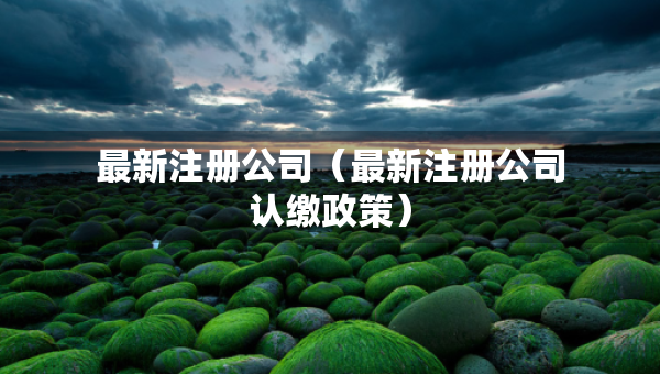 最新注冊公司（最新注冊公司認繳政策）