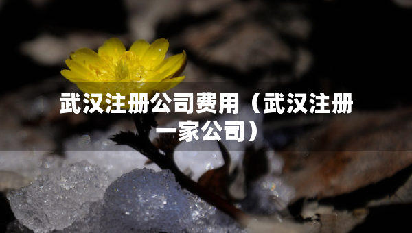 武漢注冊公司費用（武漢注冊一家公司）