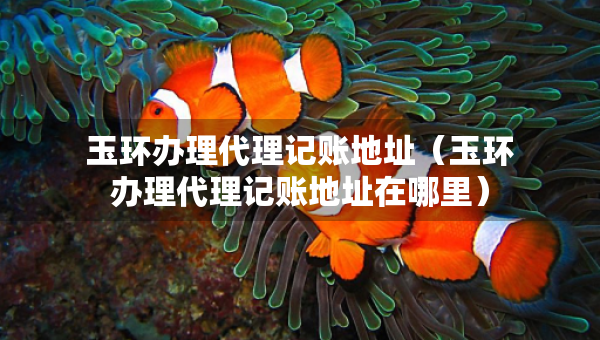 玉環(huán)辦理代理記賬地址（玉環(huán)辦理代理記賬地址在哪里）
