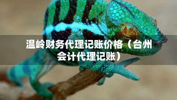 溫嶺財務代理記賬價格（臺州會計代理記賬）
