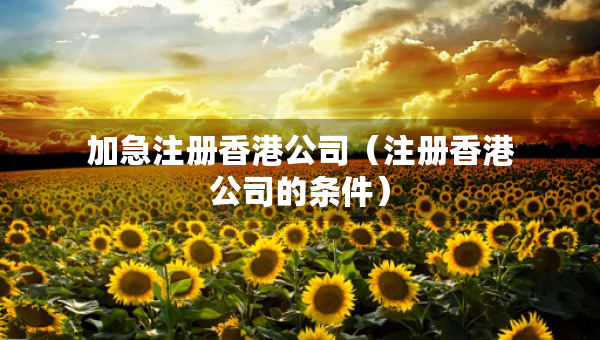 加急注冊(cè)香港公司（注冊(cè)香港公司的條件）