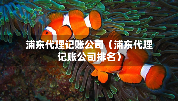 浦東代理記賬公司（浦東代理記賬公司排名）