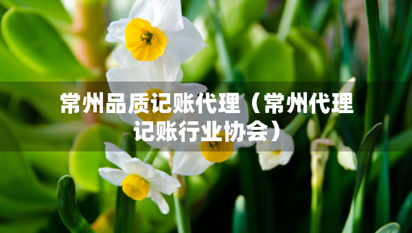 常州品質(zhì)記賬代理（常州代理記賬行業(yè)協(xié)會(huì)）