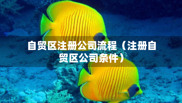 自貿(mào)區(qū)注冊公司流程（注冊自貿(mào)區(qū)公司條件）