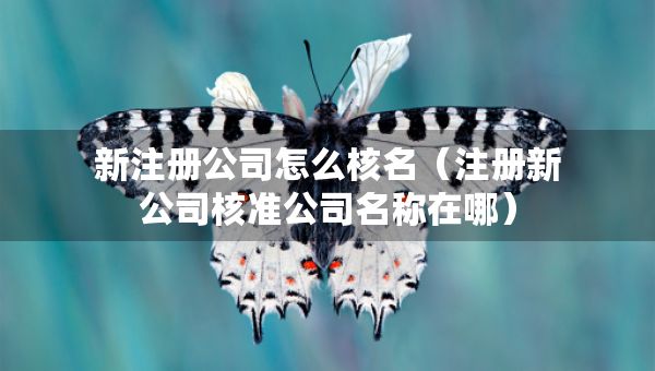 新注冊公司怎么核名（注冊新公司核準(zhǔn)公司名稱在哪）