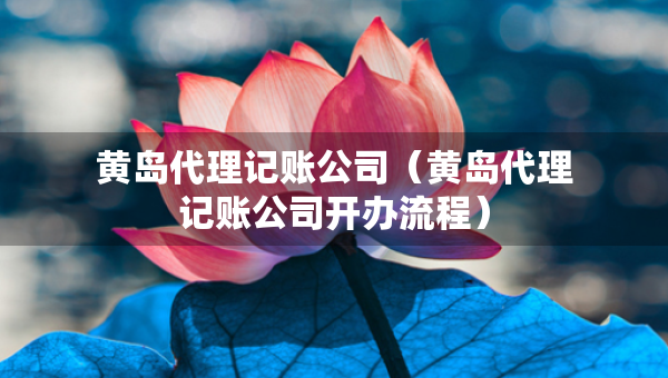 黃島代理記賬公司（黃島代理記賬公司開辦流程）