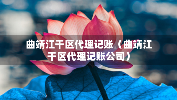 曲靖江干區(qū)代理記賬（曲靖江干區(qū)代理記賬公司）