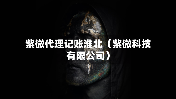 紫微代理記賬淮北（紫微科技有限公司）