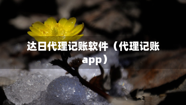 達(dá)日代理記賬軟件（代理記賬 app）