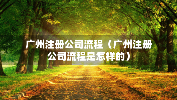 廣州注冊公司流程（廣州注冊公司流程是怎樣的）