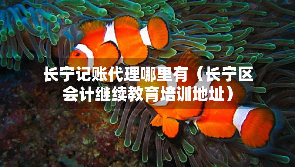 長寧記賬代理哪里有（長寧區(qū)會計繼續(xù)教育培訓地址）