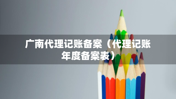 廣南代理記賬備案（代理記賬年度備案表）