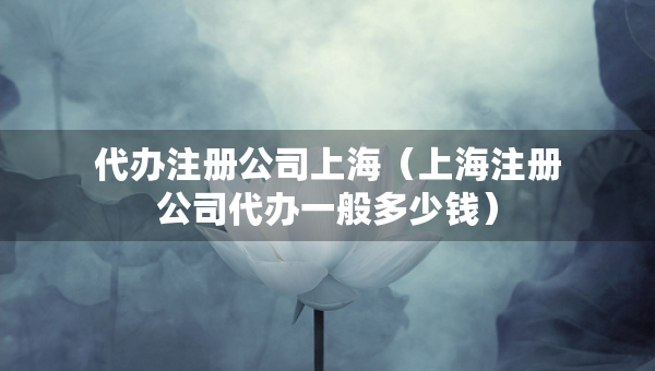 代辦注冊(cè)公司上海（上海注冊(cè)公司代辦一般多少錢）