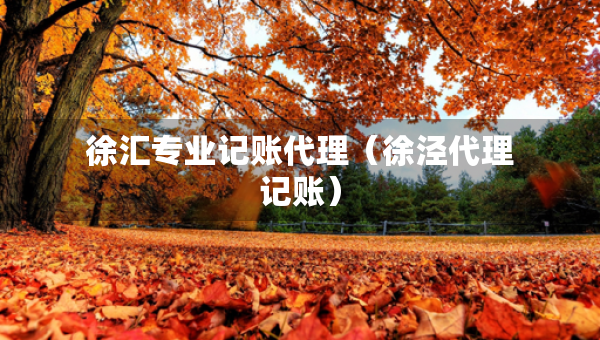 徐匯專業(yè)記賬代理（徐涇代理記賬）