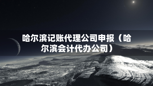 哈爾濱記賬代理公司申報(bào)（哈爾濱會(huì)計(jì)代辦公司）