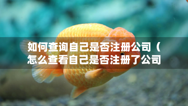 如何查詢自己是否注冊(cè)公司（怎么查看自己是否注冊(cè)了公司）