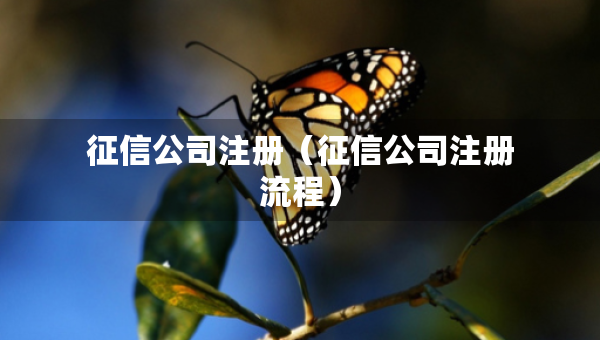 征信公司注冊(cè)（征信公司注冊(cè)流程）