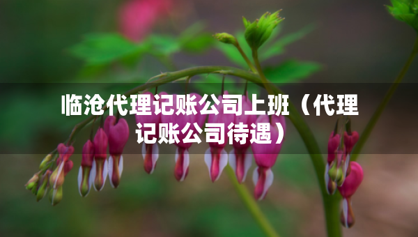 臨滄代理記賬公司上班（代理記賬公司待遇）