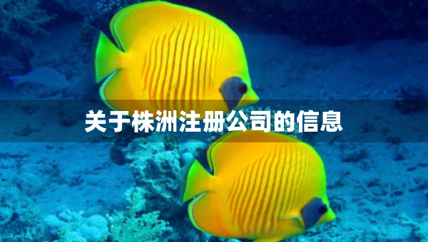關(guān)于株洲注冊(cè)公司的信息