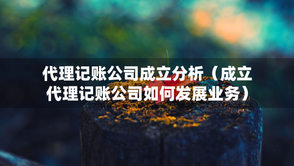 代理記賬公司成立分析（成立代理記賬公司如何發(fā)展業(yè)務(wù)）