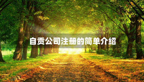 自貢公司注冊的簡單介紹