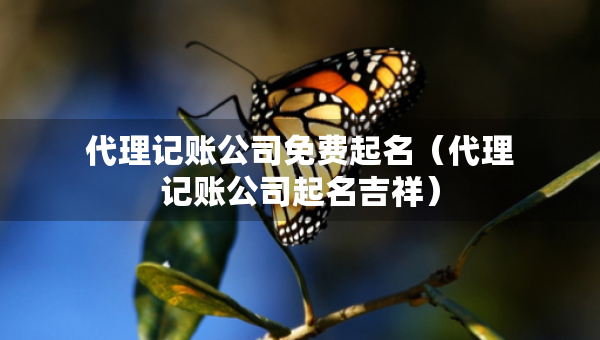 代理記賬公司免費(fèi)起名（代理記賬公司起名吉祥）