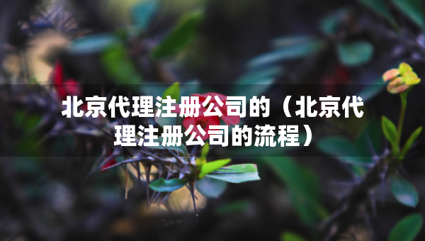 北京代理注冊公司的（北京代理注冊公司的流程）