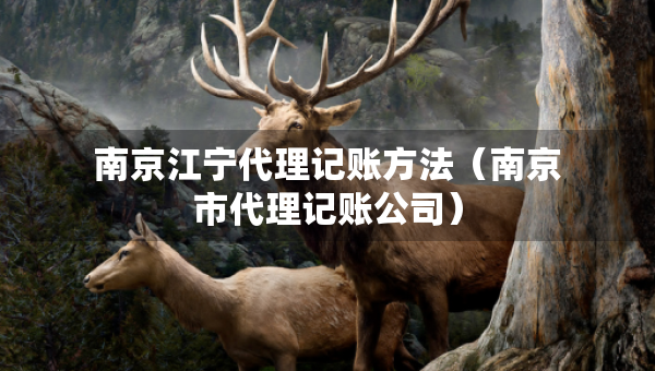 南京江寧代理記賬方法（南京市代理記賬公司）