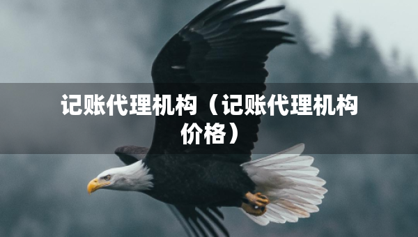 記賬代理機構(gòu)（記賬代理機構(gòu)價格）