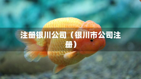注冊銀川公司（銀川市公司注冊）