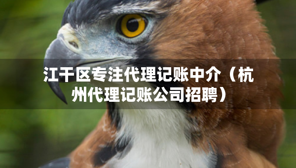 江干區(qū)專注代理記賬中介（杭州代理記賬公司招聘）