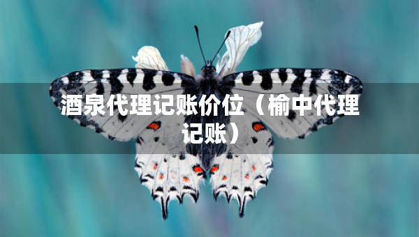 酒泉代理記賬價位（榆中代理記賬）