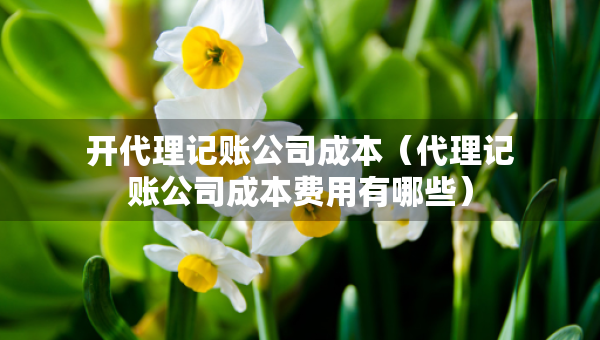 開(kāi)代理記賬公司成本（代理記賬公司成本費(fèi)用有哪些）