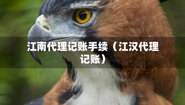 江南代理記賬手續(xù)（江漢代理記賬）