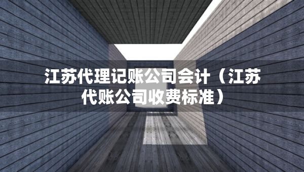 江蘇代理記賬公司會計（江蘇代賬公司收費(fèi)標(biāo)準(zhǔn)）