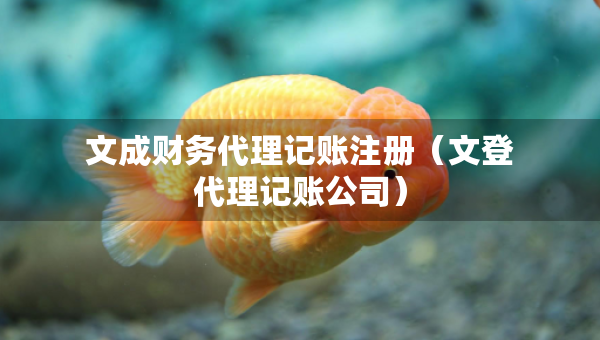 文成財(cái)務(wù)代理記賬注冊（文登代理記賬公司）