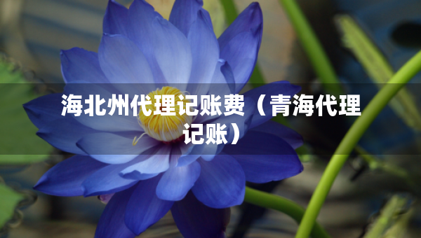 海北州代理記賬費(fèi)（青海代理記賬）