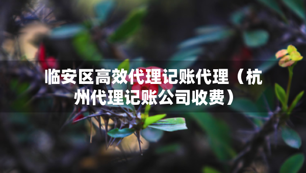 臨安區(qū)高效代理記賬代理（杭州代理記賬公司收費）