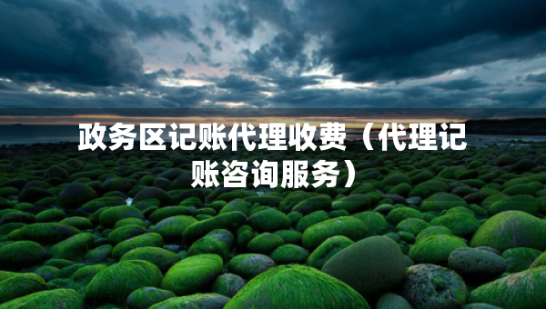 政務(wù)區(qū)記賬代理收費（代理記賬咨詢服務(wù)）